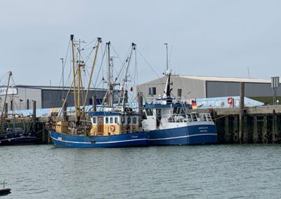 Krabbenkutter in Norderney Tilly hat alles im Griff